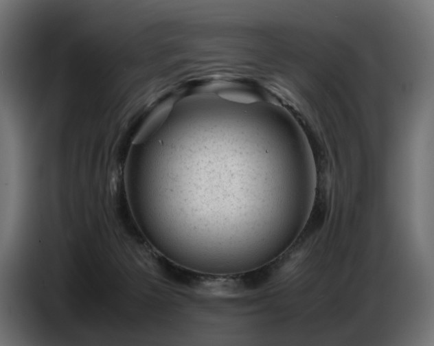 X0000087670125200705041017