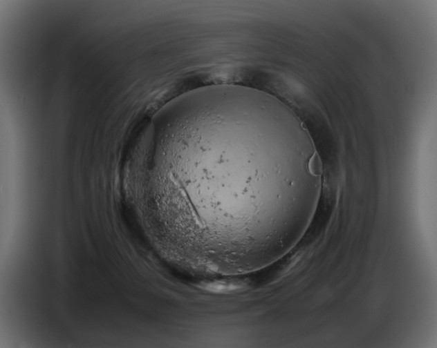 X0000087670127200705041017