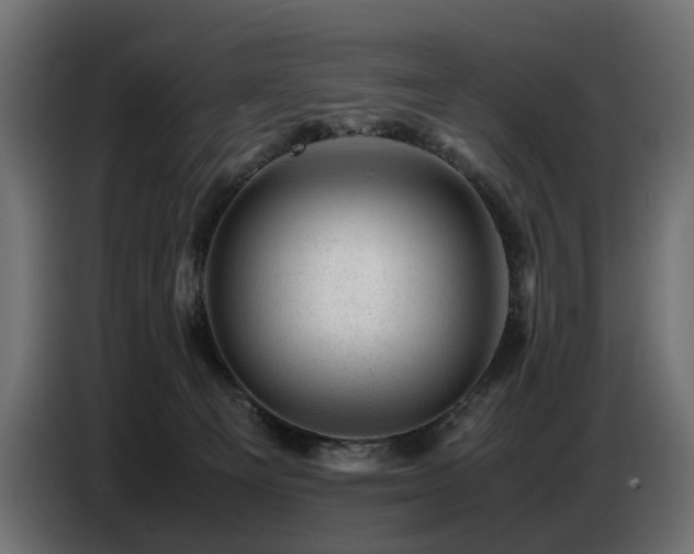 X0000087670129200705041017