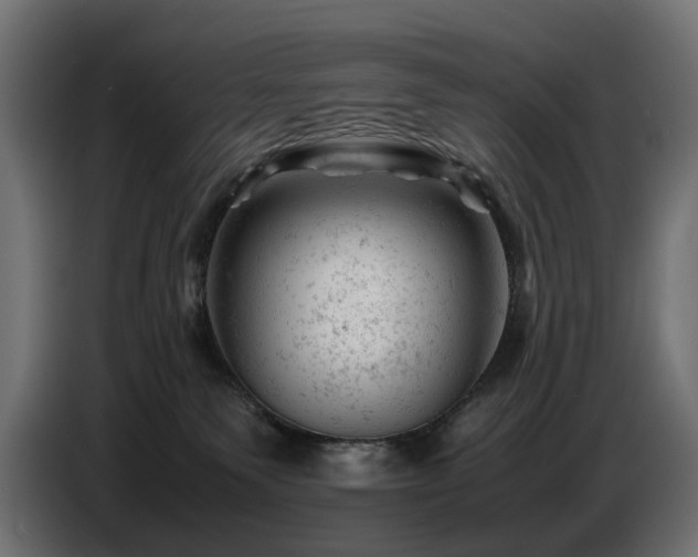 X0000087670135200705041017