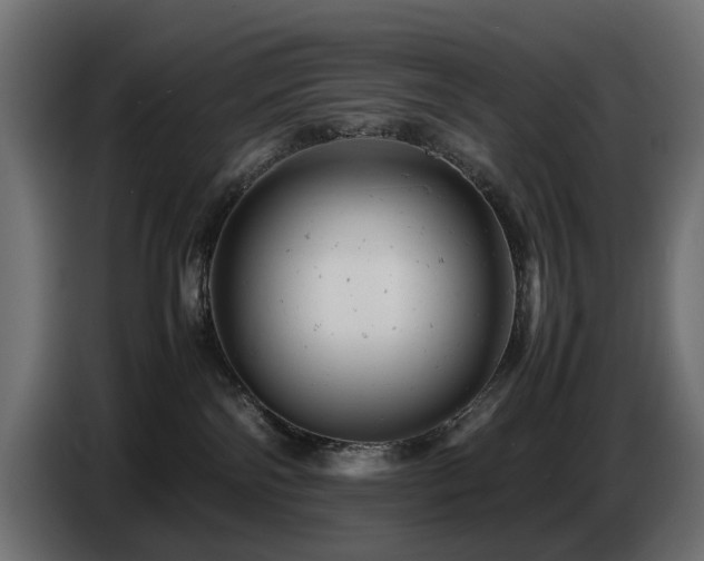 X0000087670138200705041017