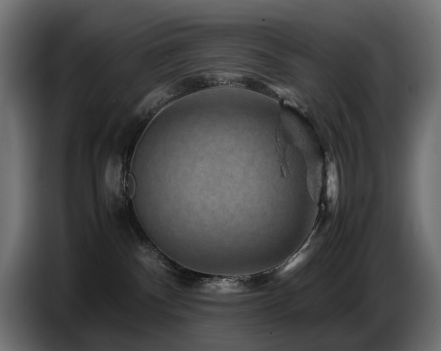 X0000087670140200705041017