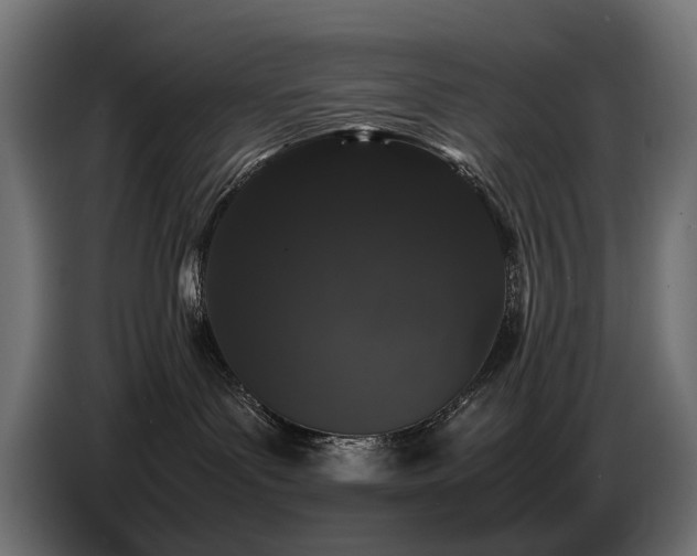 X0000087670143200705041017