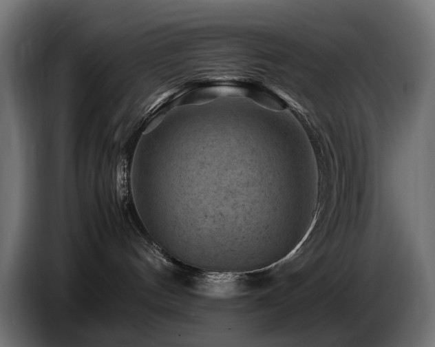 X0000087670144200705041017