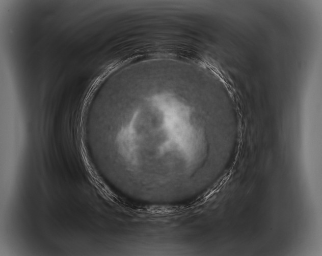 X0000087670145200705041016