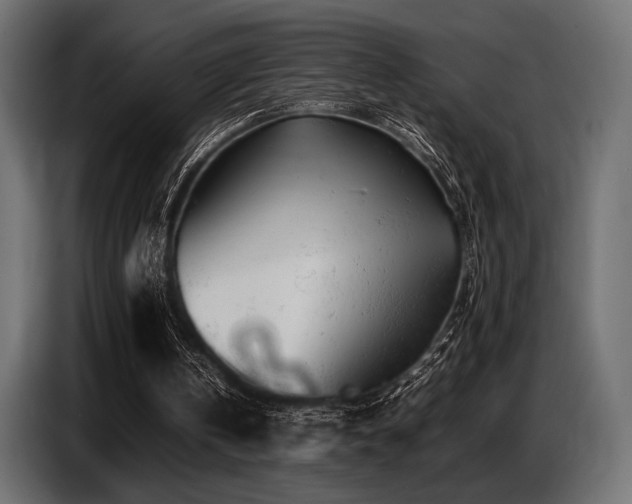 X0000087670146200705041016