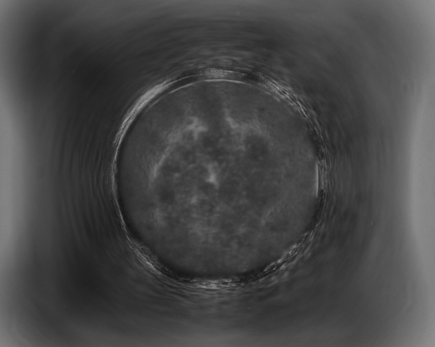 X0000087670147200705041016