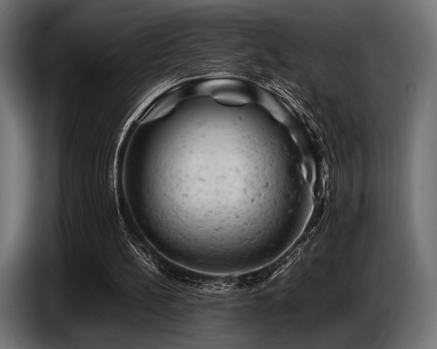 X0000087670148200705041016