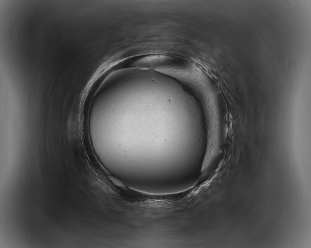 X0000087670150200705041016