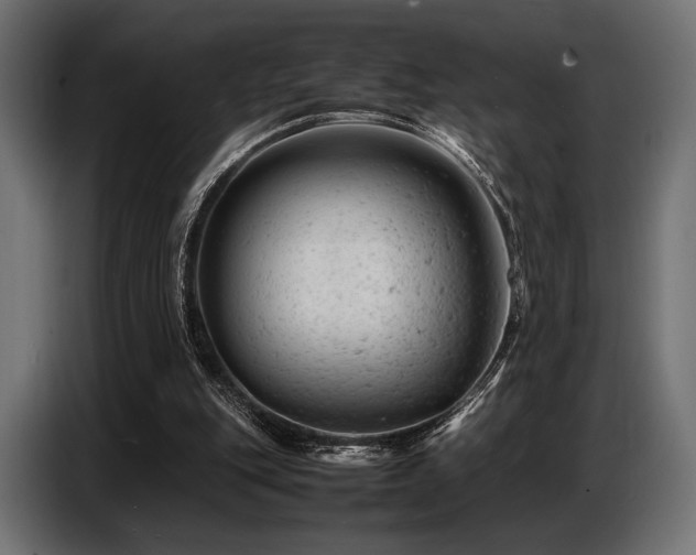 X0000087670151200705041016