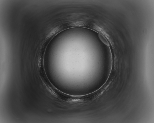 X0000087670153200705041016