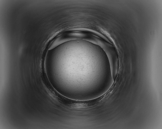 X0000087670154200705041016