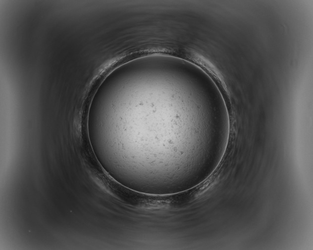 X0000087670155200705041016