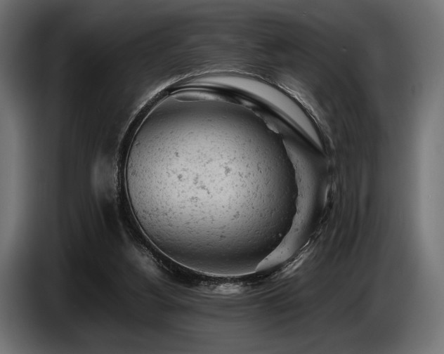 X0000087670156200705041016