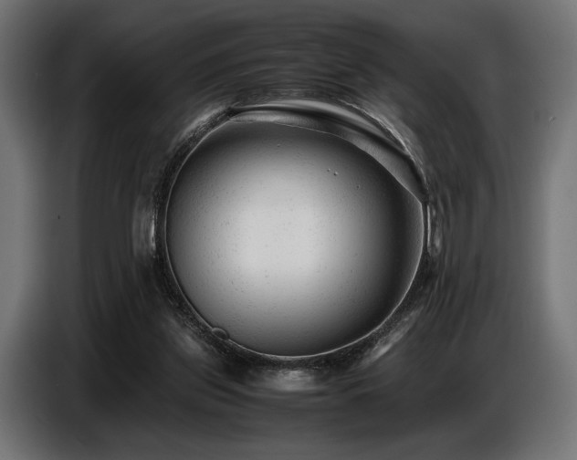 X0000087670157200705041016