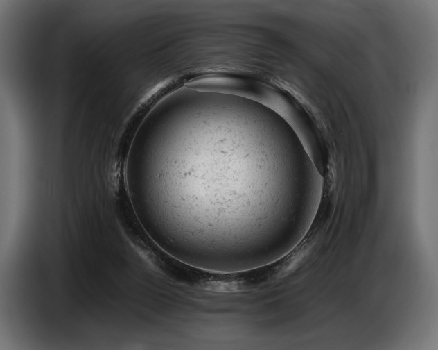 X0000087670160200705041016