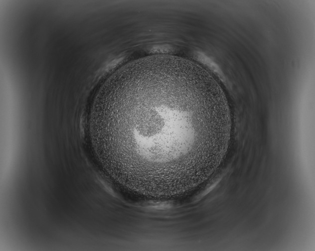 X0000087670161200705041017