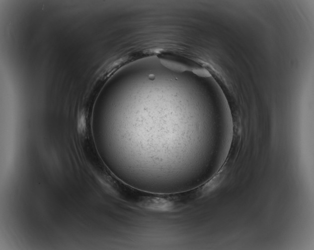 X0000087670166200705041017