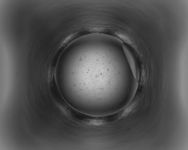 X0000087670168200705041017