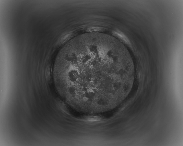 X0000087670169200705041017