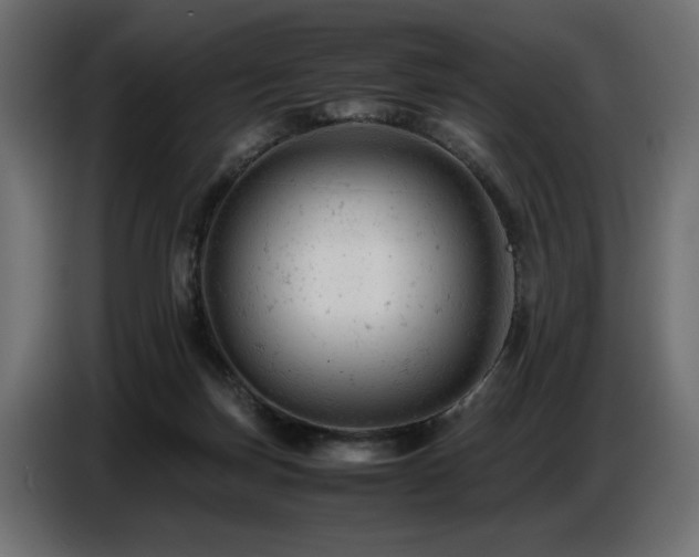 X0000087670171200705041017