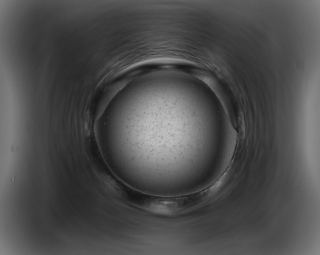 X0000087670174200705041017