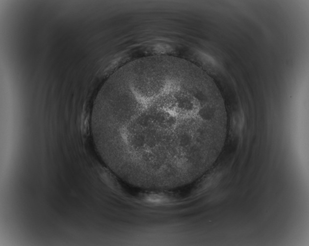 X0000087670177200705041017