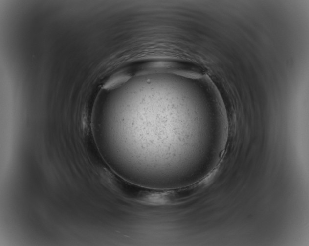 X0000087670178200705041017