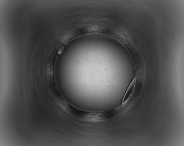 X0000087670179200705041017