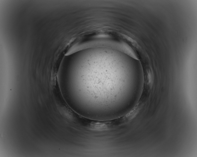 X0000087670180200705041017