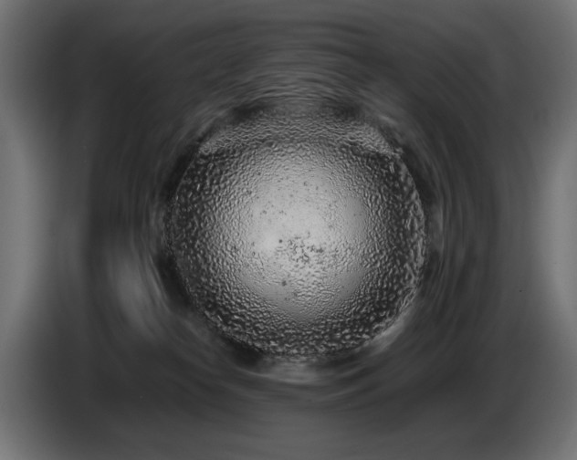 X0000087670182200705041017