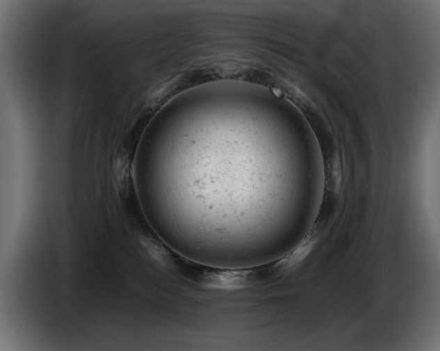 X0000087670184200705041017