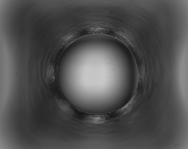 X0000087670187200705041017