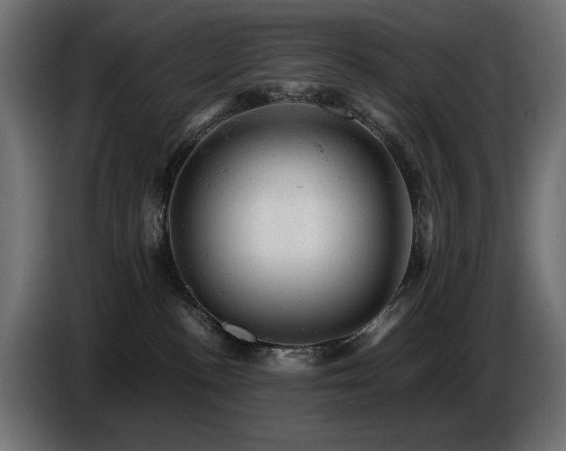 X0000087670188200705041017