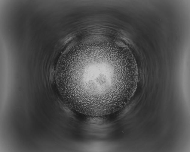 X0000087670189200705041017