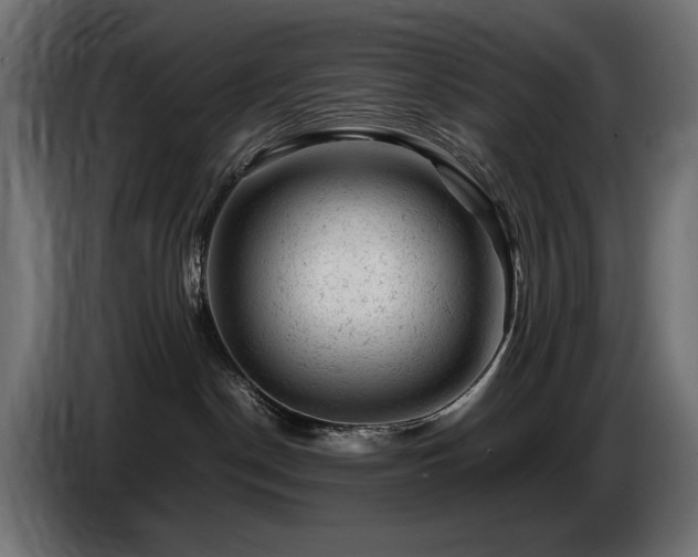 X0000087670190200705041017