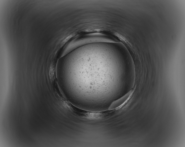 X0000087670192200705041017