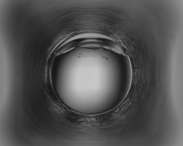 X0000087670194200705041016