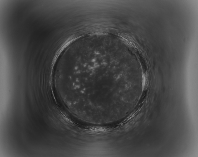 X0000087670195200705041016