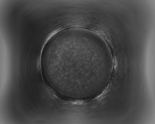 X0000087670196200705041016