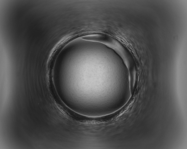 X0000087670197200705041016