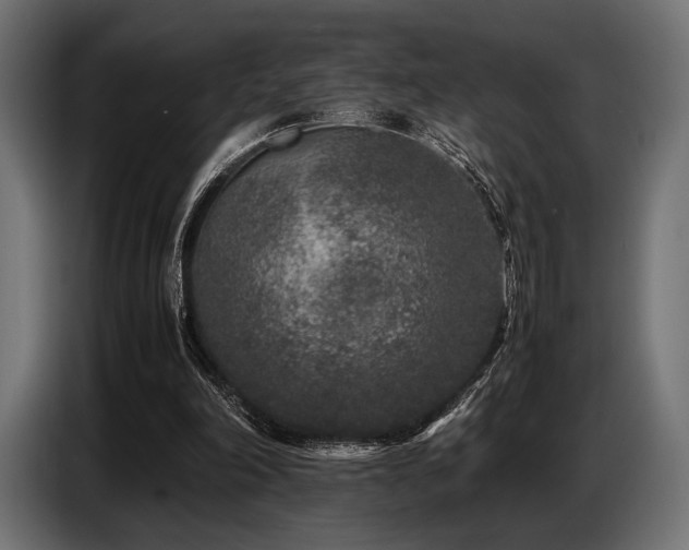 X0000087670198200705041016