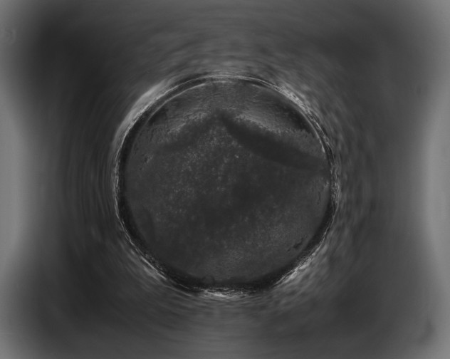 X0000087670199200705041016