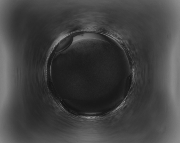 X0000087670200200705041016