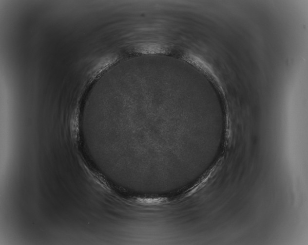 X0000087670202200705041016