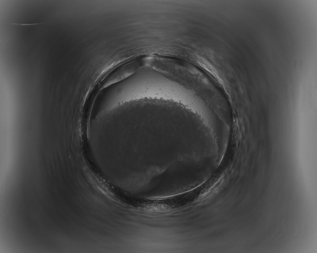 X0000087670203200705041016