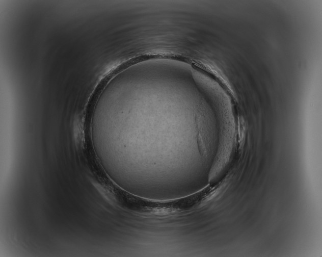 X0000087670204200705041016