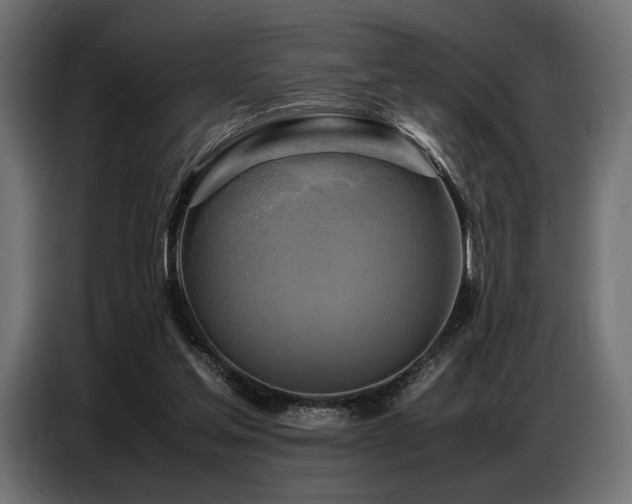 X0000087670205200705041016