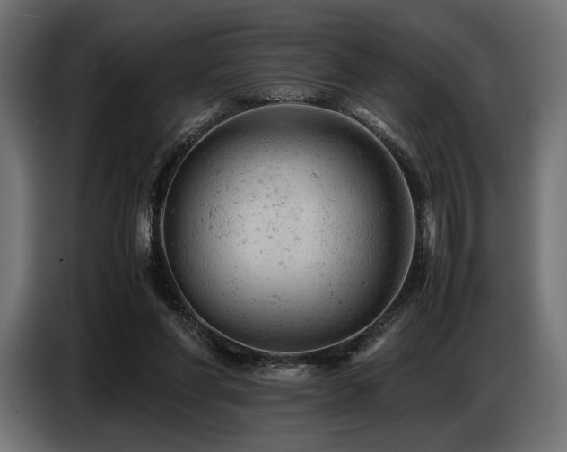 X0000087670206200705041016