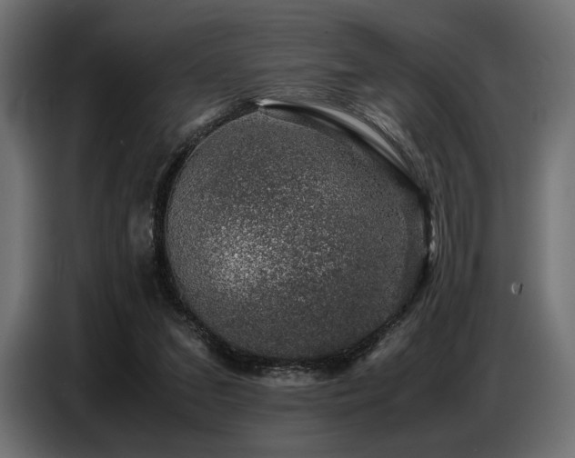 X0000087670207200705041016